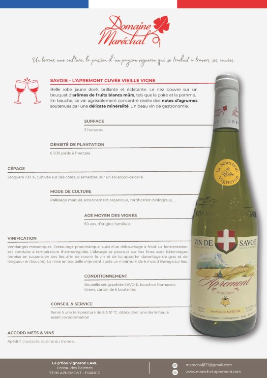 Vieille vigne